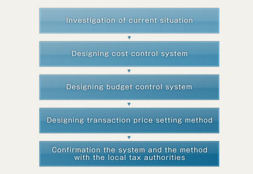 Consulting on international taxation